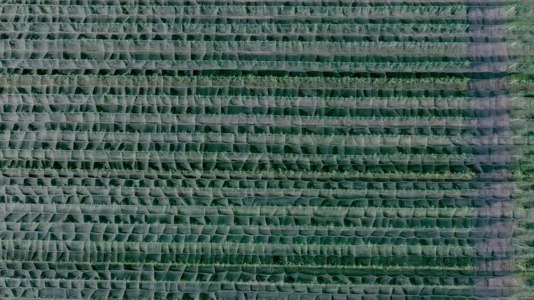 20251224 tape and mono.png